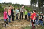 Wisent Wildnis Waldpädagogik 2
