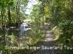 Wennepfad bei Wenholthausen