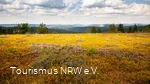 Kahle Asten | Winterberg