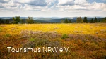 Kahle Asten | Winterberg