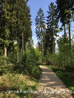 Naturerlebnispfad Hohe Bracht