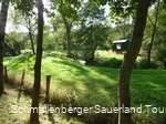 Wenneauen