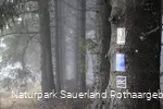 ... vielfältige Wegemarkierungen...