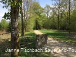 Naturerlebnispfad Hohe Bracht