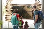 Naturpark Infozentrum Ausstellung