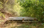 TP1 Niederwald