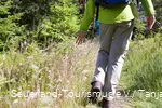 Wanderer im Gras