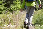 Wanderer im Gras