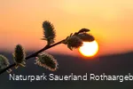 ... Sonnenuntergangsstimmung im Märkischen Sauerla