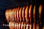 Räucherfische