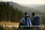 Blick auf die Bruchhauser Steine