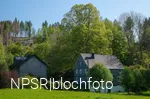 Weithin sichtbar - die Linde am Forsthaus Hülshof