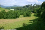 29_H_Orlebachtal-2014_NZMK_Haupt.jpg