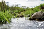 Der Wetterbach in Holzhausen